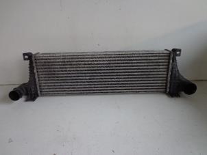 Used Intercooler Iveco New Daily I/II Price € 30,00 Margin scheme offered by Autobedrijf Broekhuis B.V.