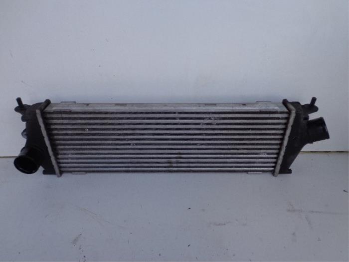 Usados Intercooler Renault Trafic New (FL) 2.0 dCi 16V 90 Precio € 40,00 Norma de margen ofrecido por Autobedrijf Broekhuis B.V.