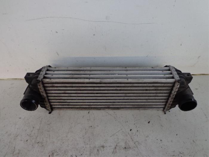 Usagé Echangeur air (Intercooler) Ford Transit Connect 1.8 TDCi 90 Prix € 48,40 Prix TTC proposé par Autobedrijf Broekhuis B.V.
