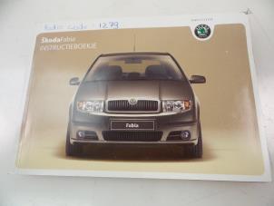 Usados Instrucciones(varios) Skoda Fabia (6Y2) 1.4i 16V Precio € 10,00 Norma de margen ofrecido por Autobedrijf Broekhuis B.V.
