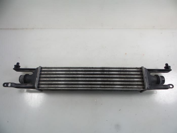 Intercooler Opel Corsa D, 2006 / 2014 1.3 CDTi 16V ecoFLEX, Hatchback, Diesel, 1.248cc, 70kW (95pk), FWD, A13DTE; Z13DTE; EURO4; Z13DTR; A13DTR, 2010-06 / 2014-08 (Used)