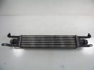 Usagé Intercooler Opel Corsa D 1.3 CDTi 16V ecoFLEX Prix € 25,00 Règlement à la marge proposé par Autobedrijf Broekhuis B.V.