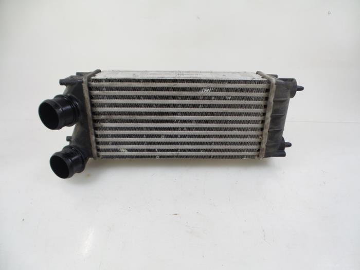 Usados Intercooler Peugeot 5008 I (0A/0E) 1.6 HDiF 16V Precio € 40,00 Norma de margen ofrecido por Autobedrijf Broekhuis B.V.