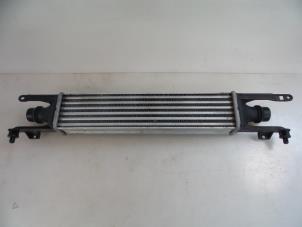 Usagé Intercooler Opel Corsa D 1.3 CDTi 16V ecoFLEX Prix € 25,00 Règlement à la marge proposé par Autobedrijf Broekhuis B.V.