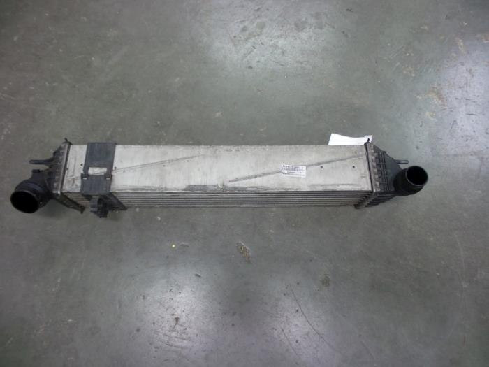 Usados Intercooler Renault Laguna III Estate (KT) 2.0 dCi 16V 150 Precio € 40,00 Norma de margen ofrecido por Autobedrijf Broekhuis B.V.