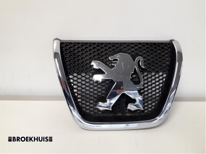 Używane Grill Peugeot 807 2.2 HDiF 16V Cena € 10,00 Procedura marży oferowane przez Autobedrijf Broekhuis B.V.