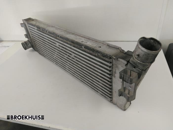 Usagé Intercooler Renault Megane II Grandtour (KM) 1.9 dCi 120 Prix € 20,00 Règlement à la marge proposé par Autobedrijf Broekhuis B.V.