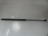 Rear gas strut, left from a Ford C-Max (DM2) 1.8 TDCi 16V 2008