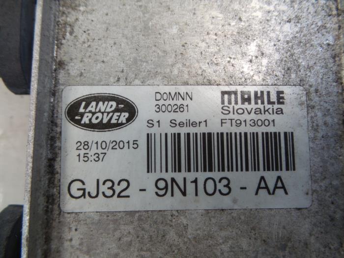 Kraftstoffkühler van een Land Rover Discovery Sport (LC) 2.0 TD4 180 16V 2016