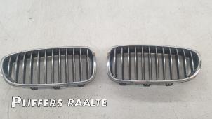 Used Grille BMW 5 serie Touring (F11) 520i 16V Price € 70,00 Margin scheme offered by Pijffers B.V. Raalte