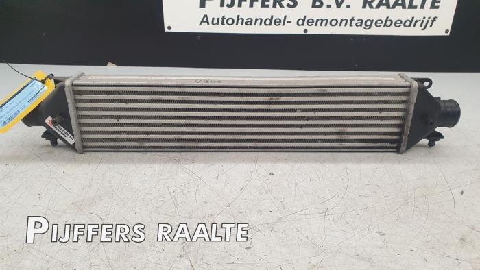 Usados Intercooler Fiat Doblo Cargo (263) 1.3 MJ 16V DPF Euro 5 Precio € 50,00 Norma de margen ofrecido por Pijffers B.V. Raalte