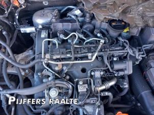 Used Engine Seat Ibiza ST (6J8) 1.2 TDI Ecomotive Price € 499,00 Margin scheme offered by Pijffers B.V. Raalte