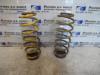 Volkswagen Polo IV (9N1/2/3) 1.2 Rear coil spring