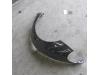 Front wing, left from a Volkswagen New Beetle (9C1/9G1), 1998 / 2010 1.4 16V, Hatchback, 2-dr, Petrol, 1.390cc, 55kW (75pk), FWD, BCA, 2001-11 / 2010-09, 9C1 2003