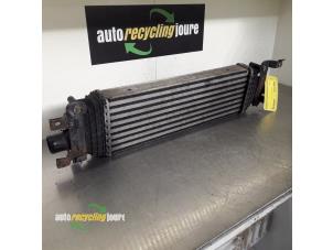 Used Intercooler Ford Fusion 1.6 TDCi Price € 40,00 Margin scheme offered by Autorecycling Joure B.V.