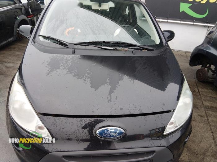 Gebrauchte Windschutzscheibe Ford Ka II 1.2 Preis € 125,00 Margenregelung angeboten von Autorecycling Joure B.V.