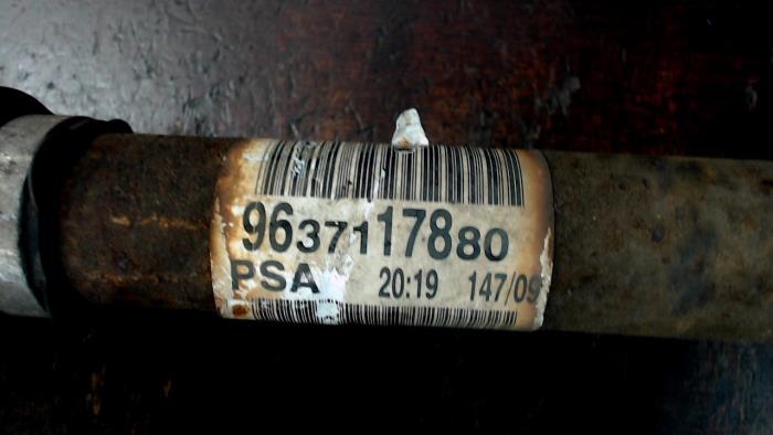 Drive shaft