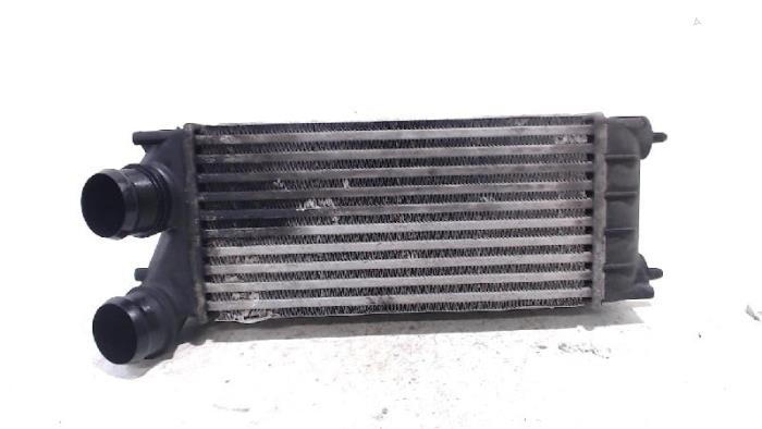 Usados Intercooler Peugeot 3008 Precio € 13,00 Norma de margen ofrecido por Van der Ven Autorecycling B.V.