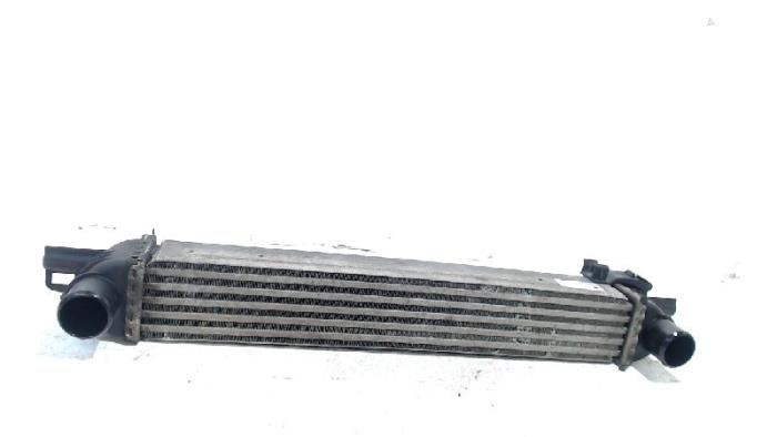 Usagé Echangeur air (Intercooler) Peugeot Bipper Prix € 12,00 Règlement à la marge proposé par Van der Ven Autorecycling B.V.