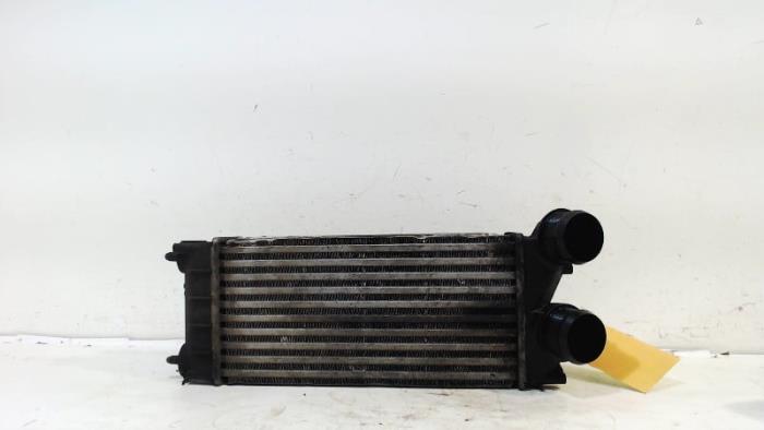 Usados Intercooler Citroen DS4 Precio € 13,00 Norma de margen ofrecido por Van der Ven Autorecycling B.V.