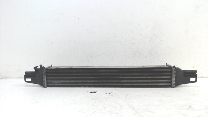 Usados Intercooler Fiat Qubo Precio € 15,00 Norma de margen ofrecido por Van der Ven Autorecycling B.V.