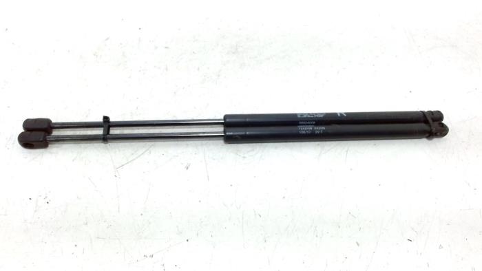 Tailgate strut