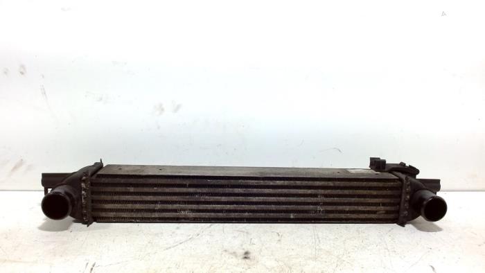 Usagé Echangeur air (Intercooler) Citroen Nemo Prix € 25,00 Règlement à la marge proposé par Van der Ven Autorecycling B.V.