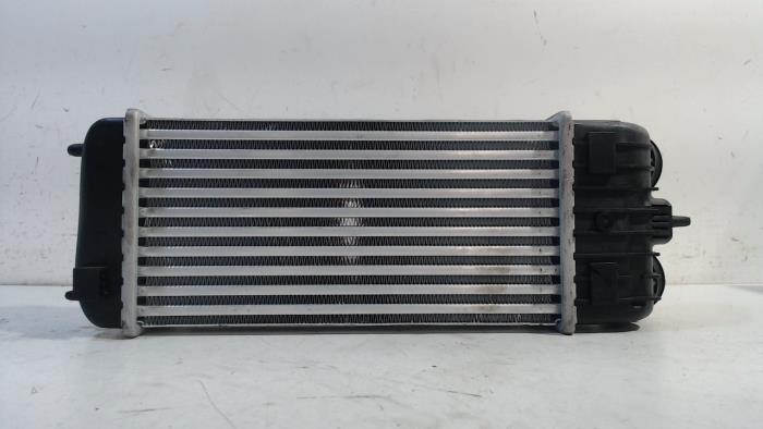 Usagé Intercooler Peugeot 207 Prix € 35,00 Règlement à la marge proposé par Van der Ven Autorecycling B.V.