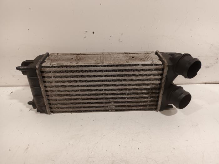 Usados Intercooler Citroen DS5 Precio € 30,00 Norma de margen ofrecido por Van der Ven Autorecycling B.V.