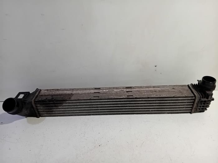 Usagé Intercooler Renault Scenic Prix € 30,00 Règlement à la marge proposé par Van der Ven Autorecycling B.V.