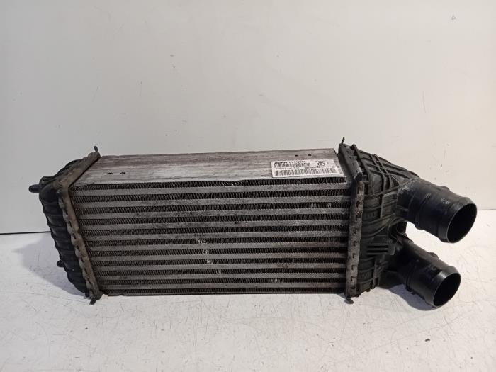 Usados Intercooler Citroen C4 Cactus Precio € 60,00 Norma de margen ofrecido por Van der Ven Autorecycling B.V.