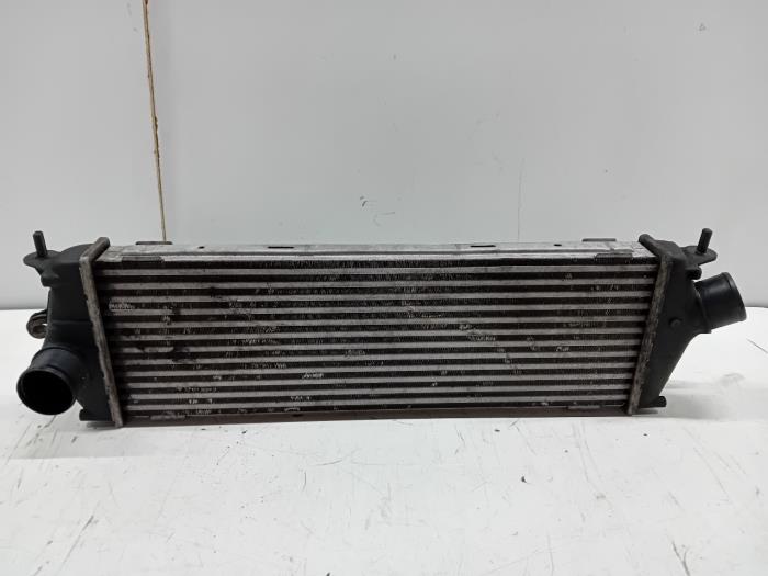 Usagé Intercooler Nissan Primastar Prix € 25,00 Règlement à la marge proposé par Van der Ven Autorecycling B.V.