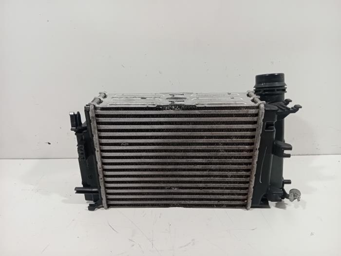 Usados Intercooler Renault Scenic Precio € 56,00 Norma de margen ofrecido por Van der Ven Autorecycling B.V.
