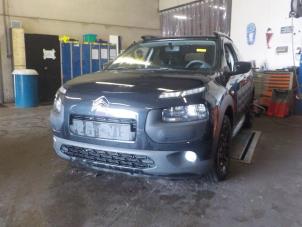 Divers d'un Citroen C4 Cactus 2014