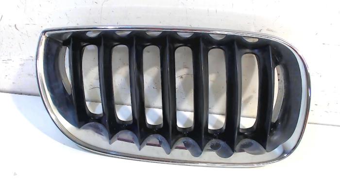 Gebrauchte Stoßstangenrost BMW X3 Preis € 15,00 Margenregelung angeboten von Van der Ven Autorecycling B.V.