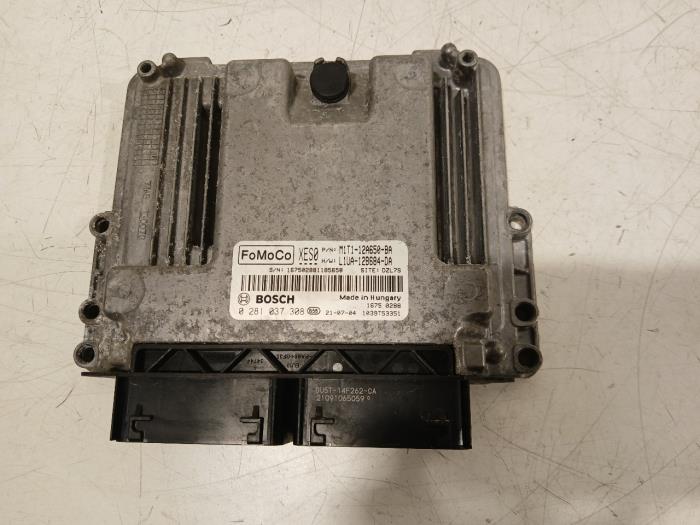 Used Engine management computer Ford Focus Price € 250,00 Margin scheme offered by Van der Ven Autorecycling B.V.