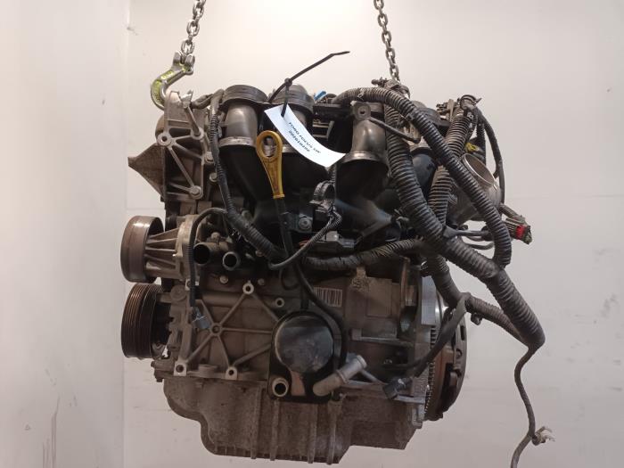 Used Engine Ford Focus Price € 699,99 Margin scheme offered by Van der Ven Autorecycling B.V.
