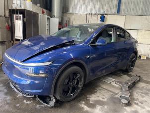 Divers d'un Tesla Model Y 2025