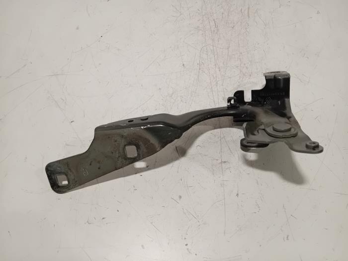 Hood hinges