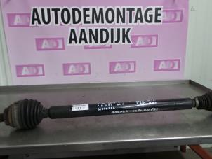 Usagé Arbre de transmission avant droit Volkswagen Golf Plus (5M1/1KP) 1.9 TDI 105 Prix € 34,99 Règlement à la marge proposé par Autodemontage Aandijk