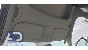 Usagé Revêtement plafond Volkswagen Caddy III (2KA,2KH,2CA,2CH) 2.0 SDI Prix € 149,99 Règlement à la marge proposé par Autodemontage Aandijk