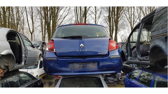 Tailgate from a Renault Clio III (BR/CR) 1.4 16V 2008