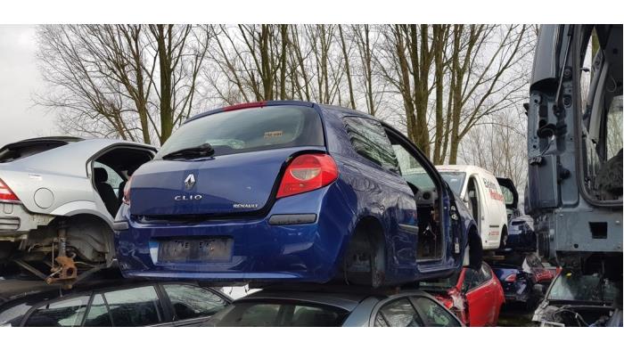 Tailgate from a Renault Clio III (BR/CR) 1.4 16V 2008
