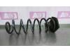 Renault Scénic III (JZ) 2.0 dCi 16V Autom. Rear coil spring