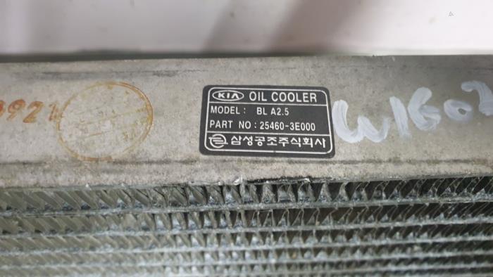 Oil cooler from a Kia Sorento I (JC) 2.5 CRDi 16V VGT 2008