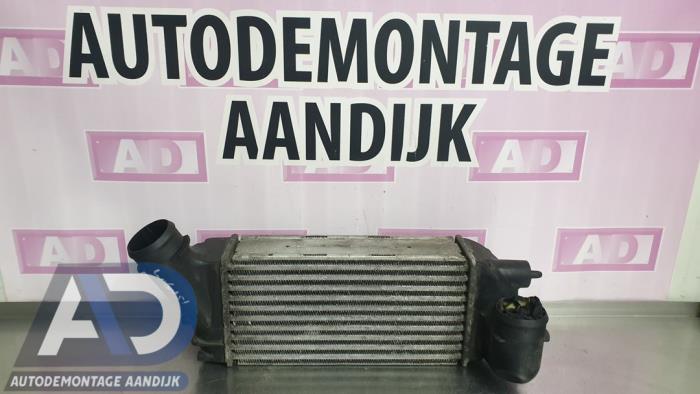 Used Intercooler Citroen C4 Picasso (UD/UE/UF) 2.0 HDiF 16V 135 Price € 49,99 Margin scheme offered by Autodemontage Aandijk
