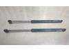 Set of tailgate gas struts from a Mercedes C Estate (S204), 2007 / 2014 3.0 C-320 CDI V6 24V 4-Matic, Combi/o, Diesel, 2.987cc, 165kW (224pk), 4x4, OM642961, 2007-08 / 2011-12, 204.289 2008