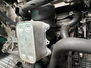 Usados Cuerpo de filtro de aceite Audi A1 (8X1/8XK) 1.6 TDI 16V Precio € 49,99 Norma de margen ofrecido por Autodemontage Aandijk