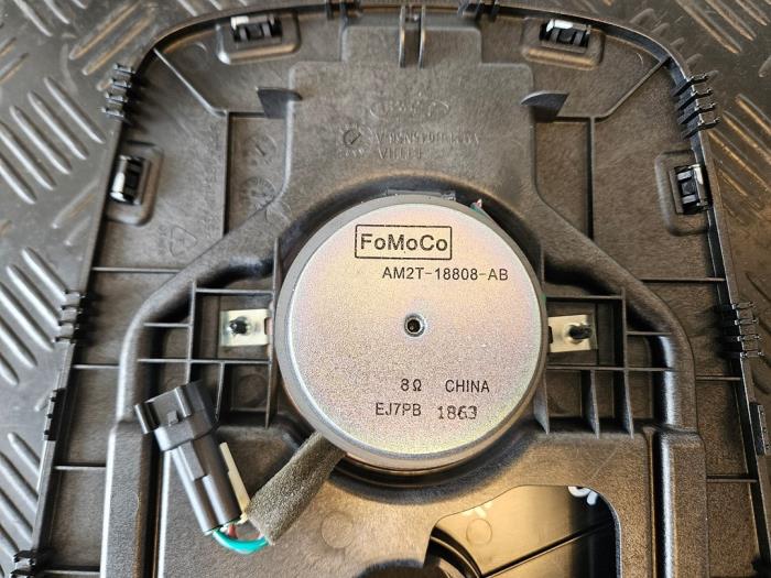 Lautsprecher van een Ford S-Max (GBW) 2.0 Ecoboost 16V 2014
