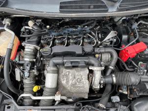 Usagé Boîte de vitesse Ford Fiesta 6 (JA8) 1.6 TDCi 16V 90 Prix € 249,99 Règlement à la marge proposé par Autodemontage Aandijk